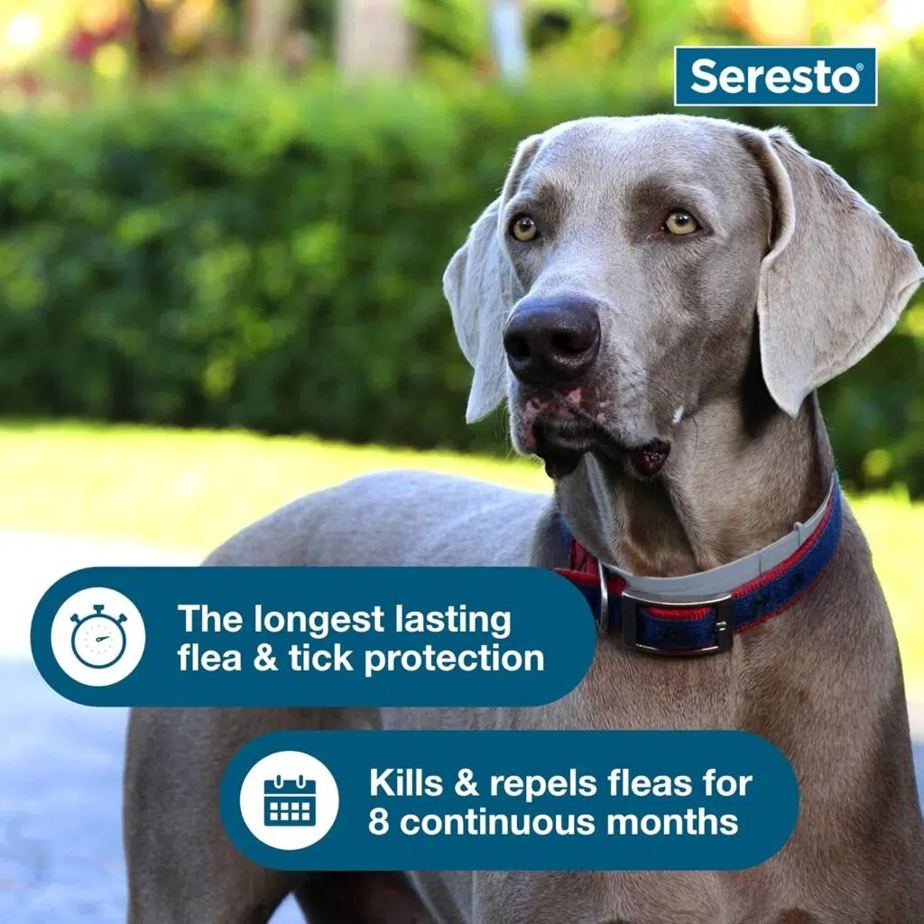 Seresto Flea and Tick Collar